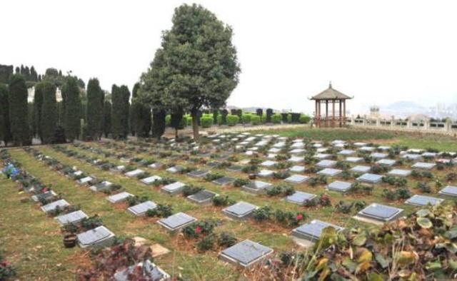 菏泽建成公益性公墓超600处，5个月减免丧葬费用1650万